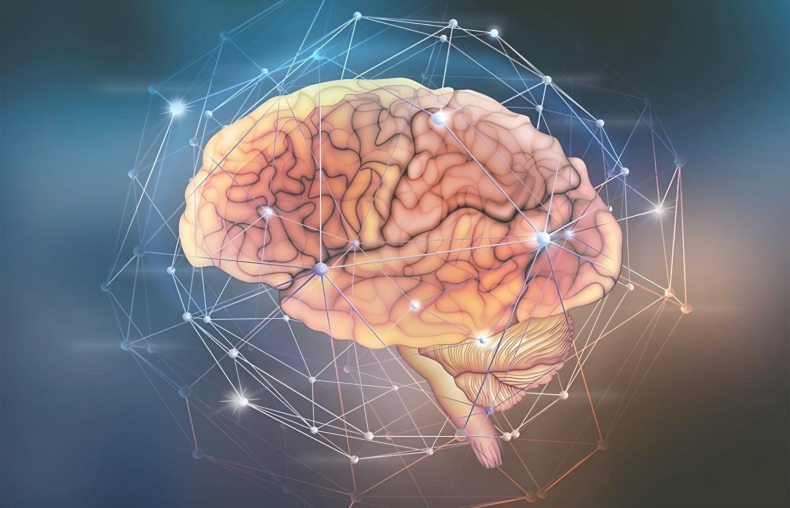 Session d'apprentissage technique en direct